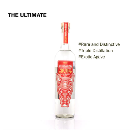 Mezcal Noble Coyote - Jabalí | 70cl 48% vol